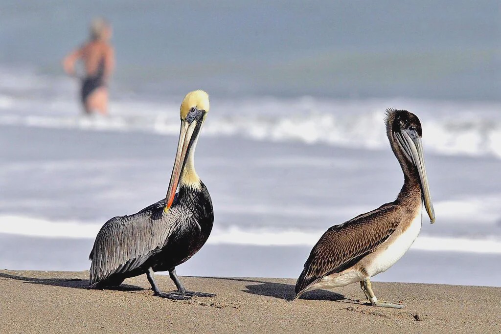 Photo of Others in Palm River Estates