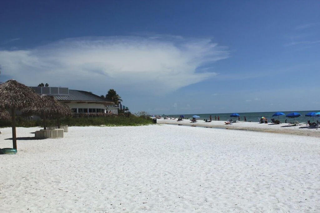 Photo of Others in Palm River Estates