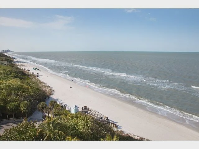 Photo of Others in Palm River Estates