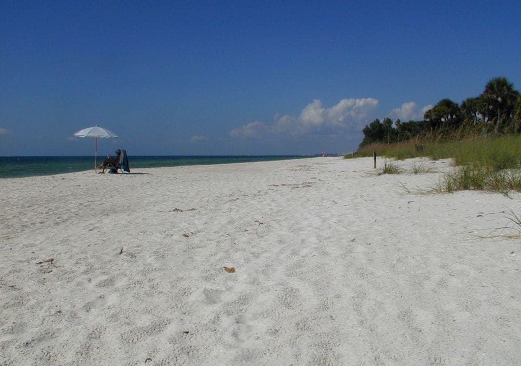 Photo of Outdoor in Palm River Estates
