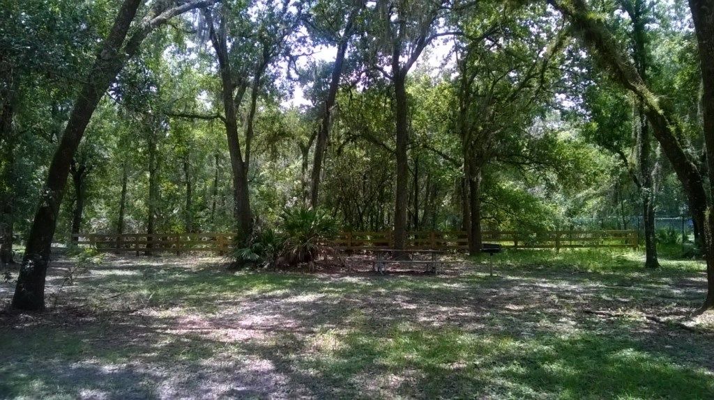 Photo of Outdoor in Creekside