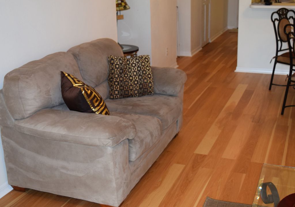 Photo of Livingroom in Palm River Estates