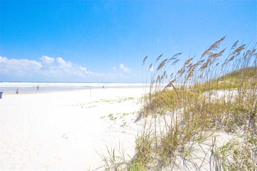 Photo of Outdoor in Plantation