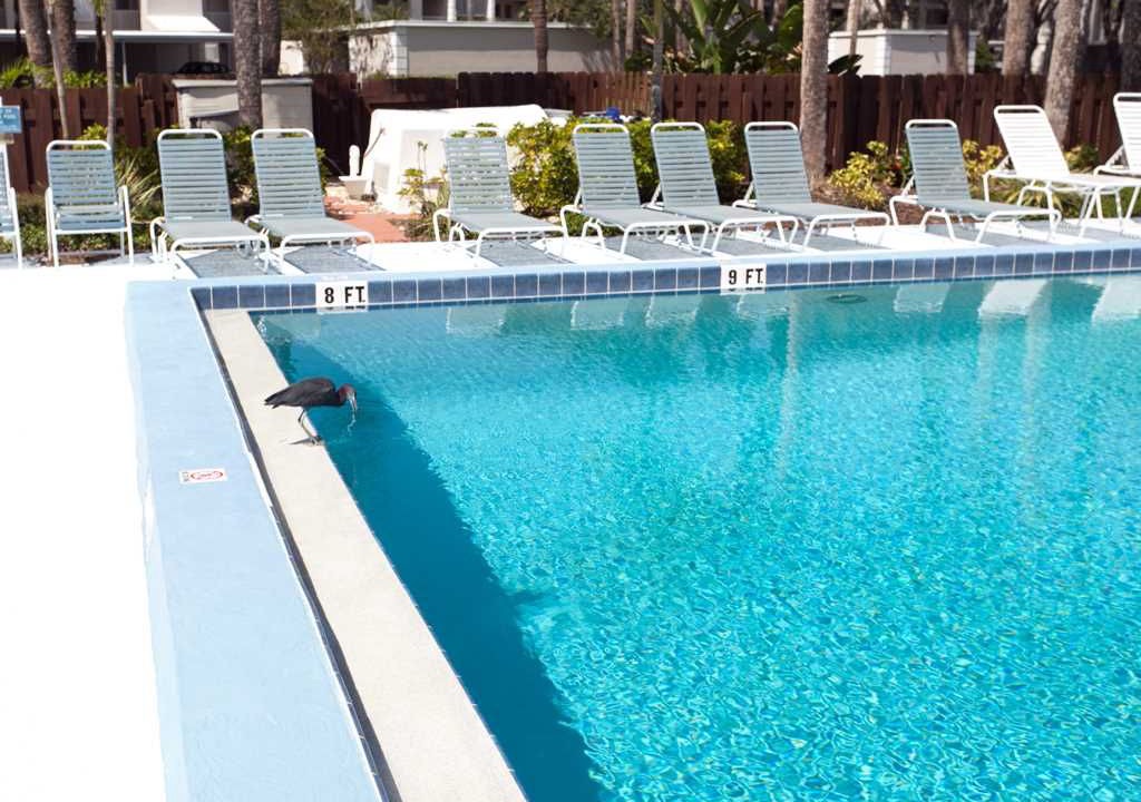 Photo of Outdoor in Plantation