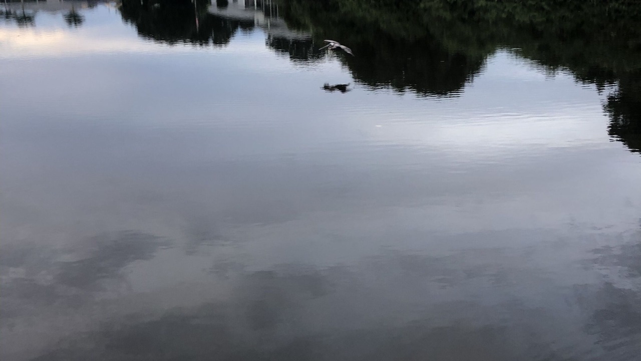 Photo of Others in Lake Suzy