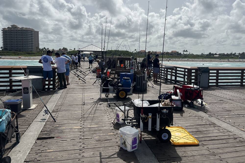 Photo of Others in Juno Beach