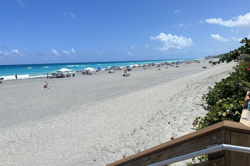 Photo of Others in Juno Beach