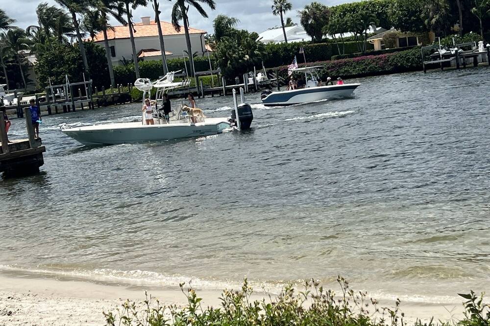 Photo of Others in Juno Beach