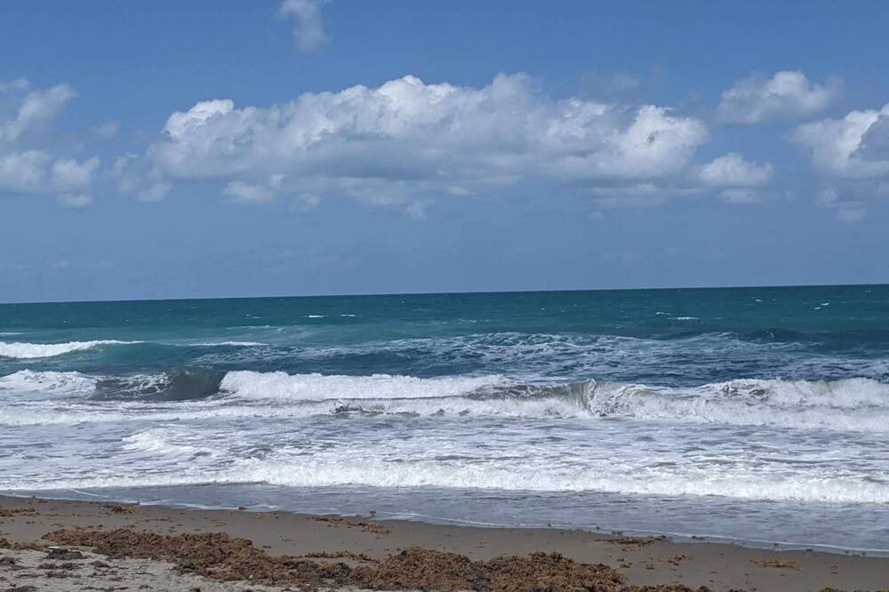 Photo of Others in Fort Pierce