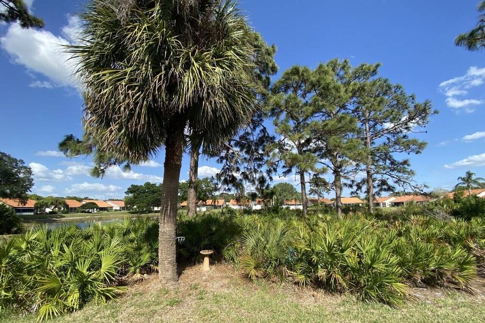 Photo of Outdoor in Plantation
