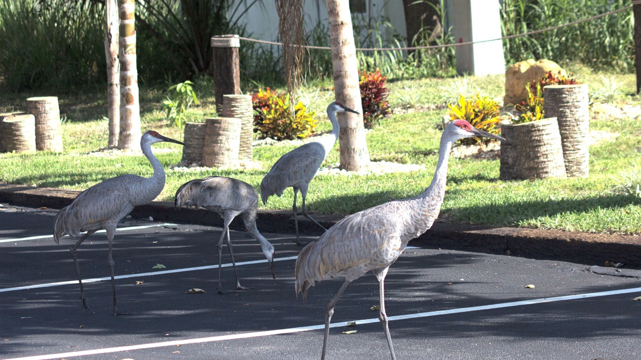 Photo of Outdoor in Fort Pierce