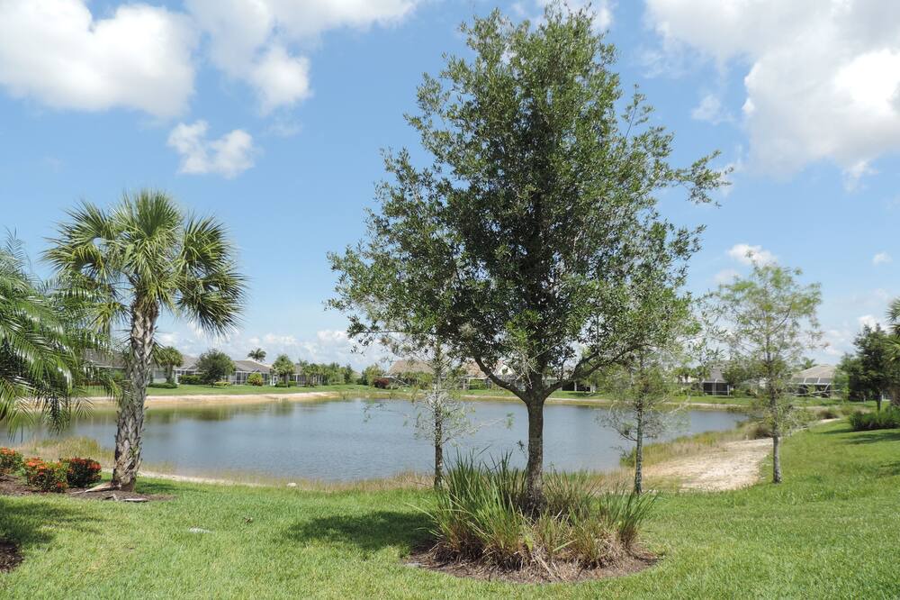 Photo of Outdoor in Estero