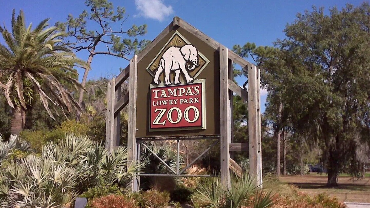 Photo of Outdoor in Carrollwood
