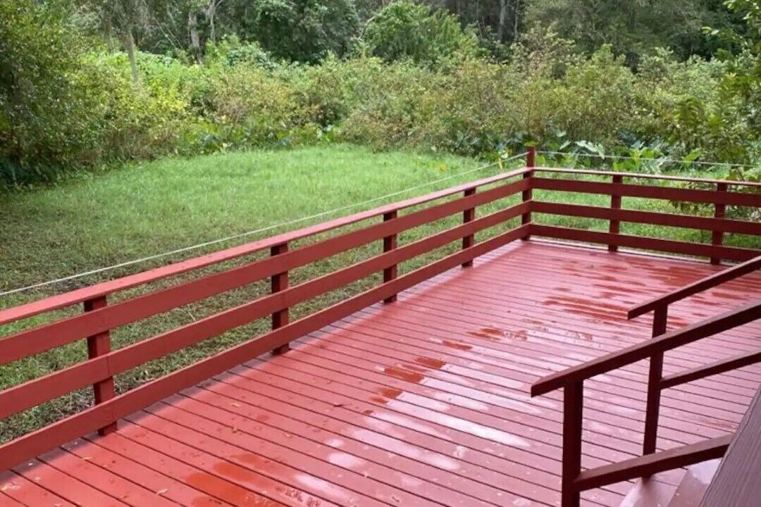 Photo of Outdoor in Carrollwood
