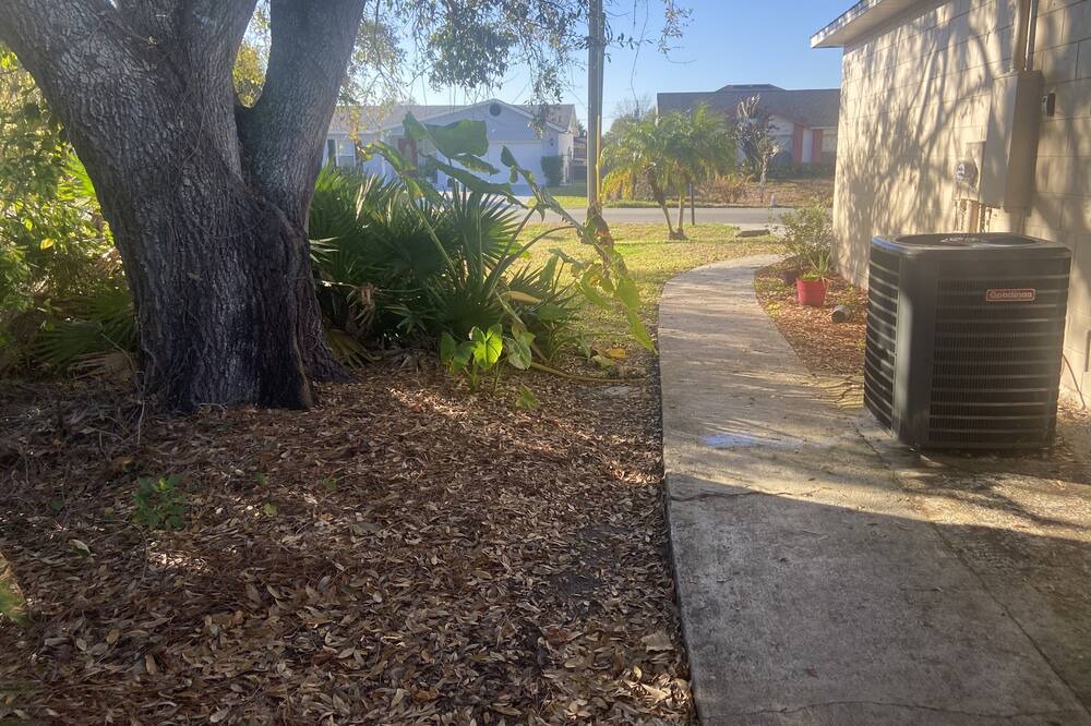 Photo of Outdoor in Poinciana