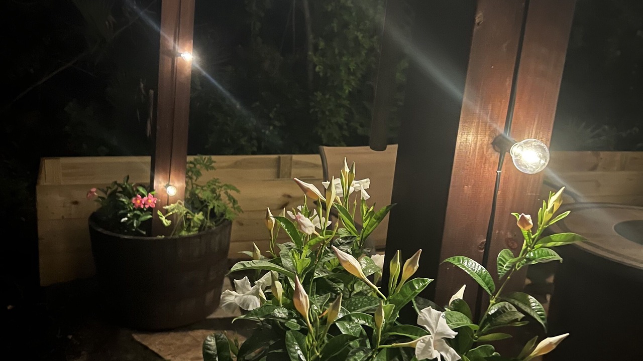 Photo of Outdoor in Tropic