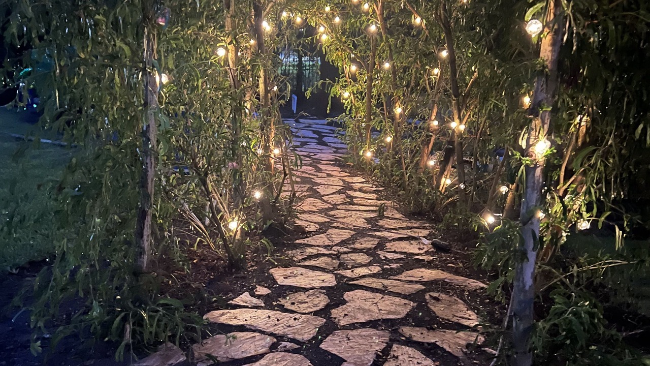 Photo of Outdoor in Tropic