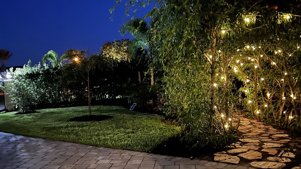 Photo of Outdoor in Tropic
