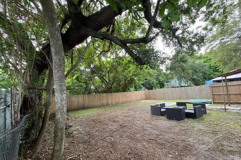 Photo of Outdoor in Little Haiti
