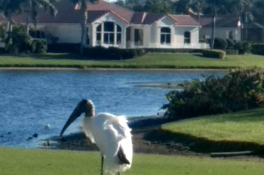 Photo of Others in Vero Beach