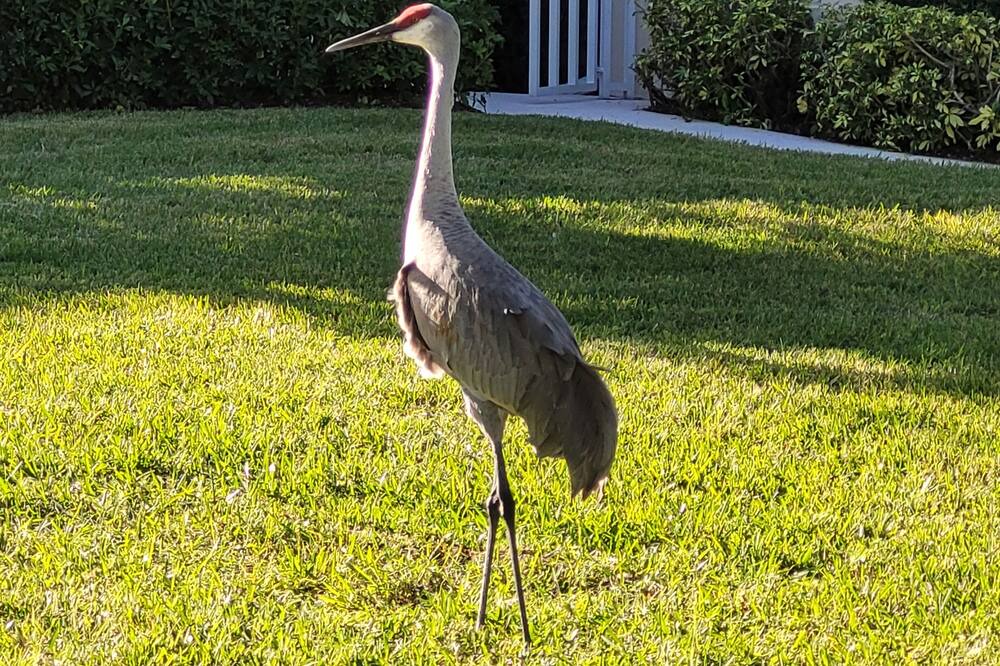 Photo of Others in Vero Beach
