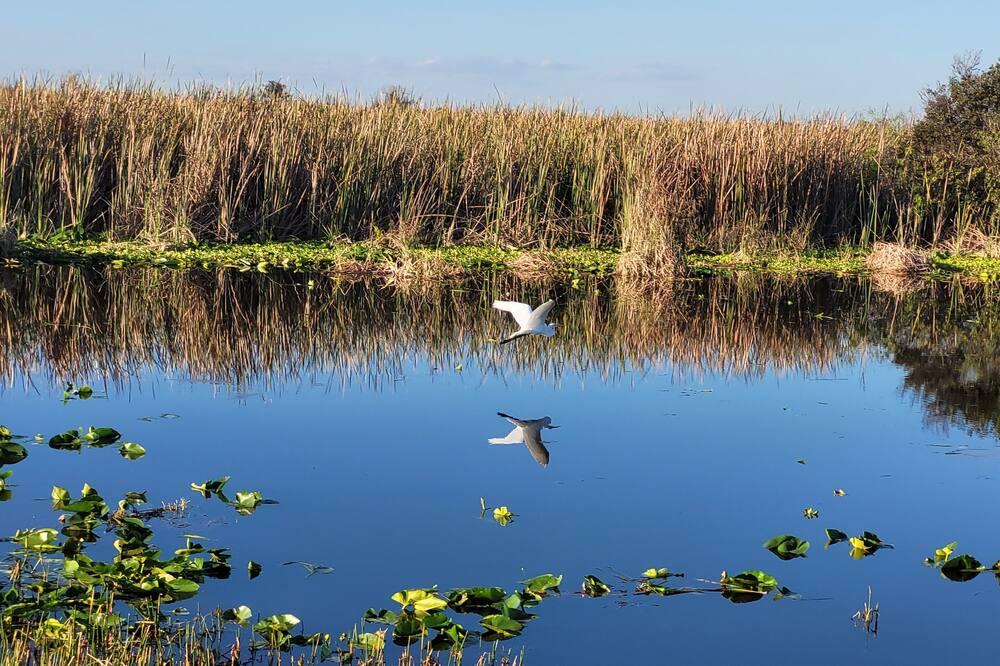 Photo of Outdoor in Vero Beach