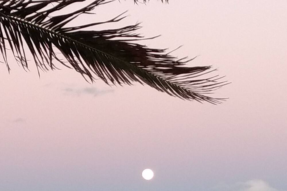 Photo of Others in Vero Beach