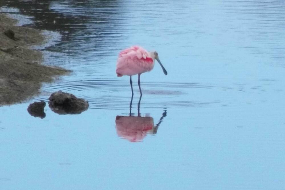 Photo of Others in Vero Beach