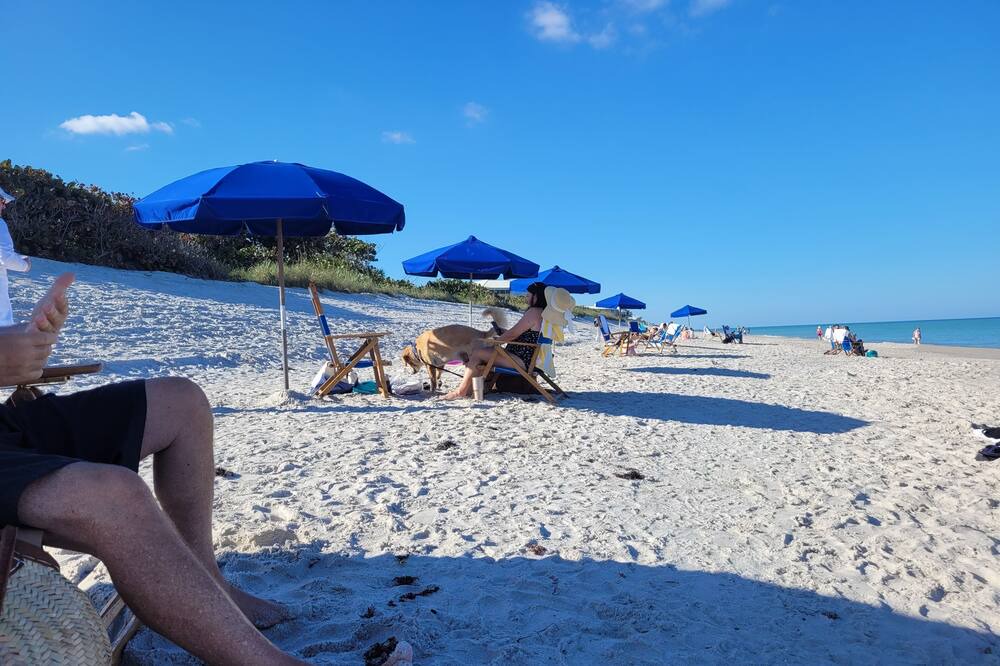 Photo of Others in Vero Beach