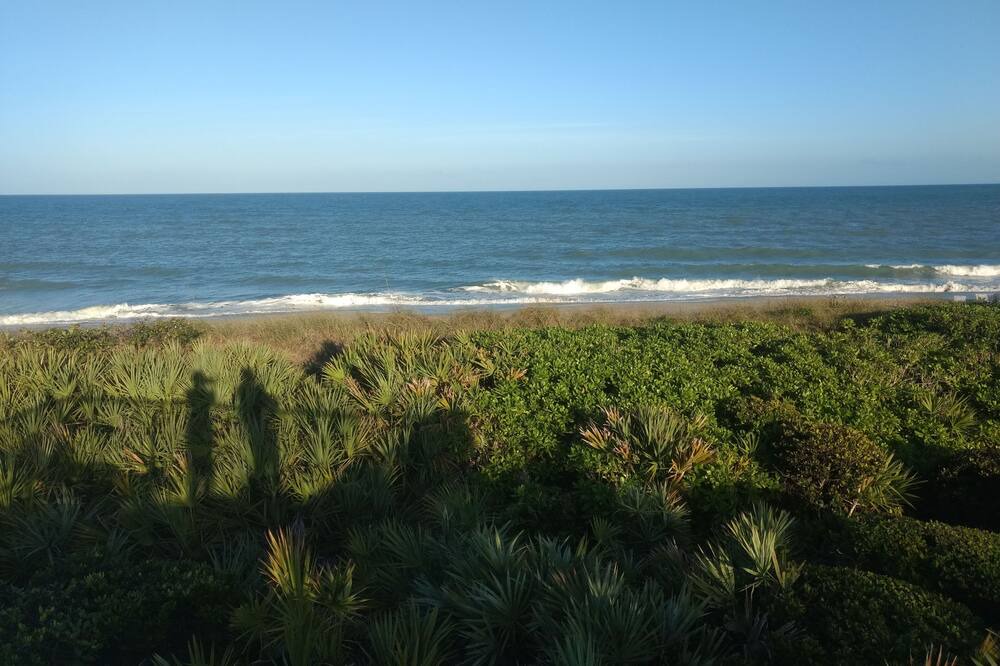 Photo of Others in Vero Beach