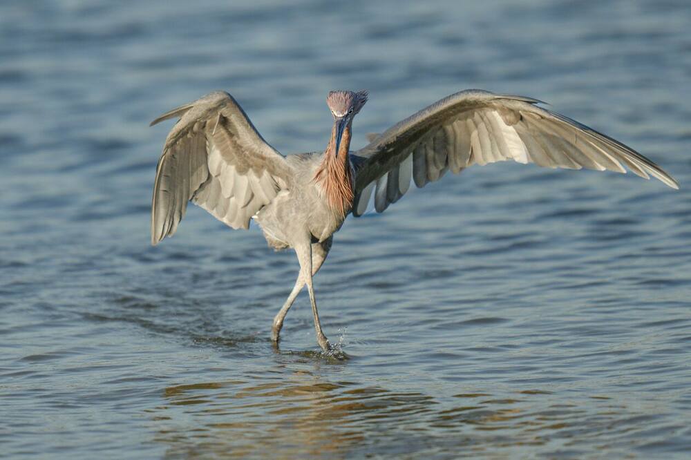Photo of Others in Vero Beach