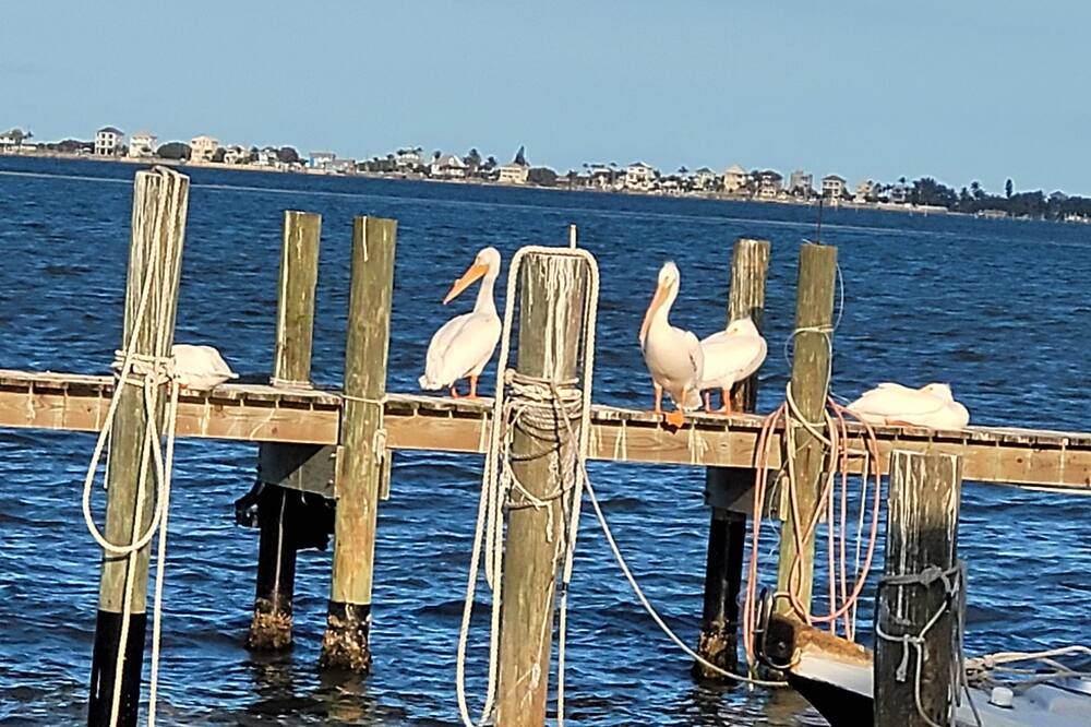 Photo of Others in Vero Beach