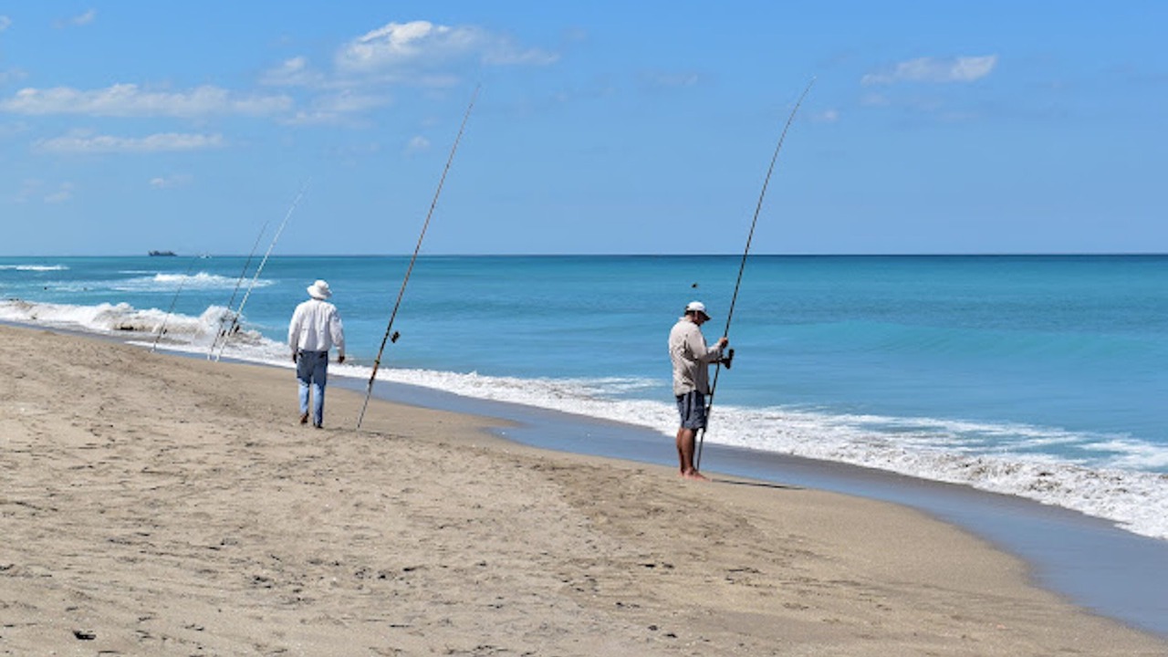 Photo of Others in Palm City