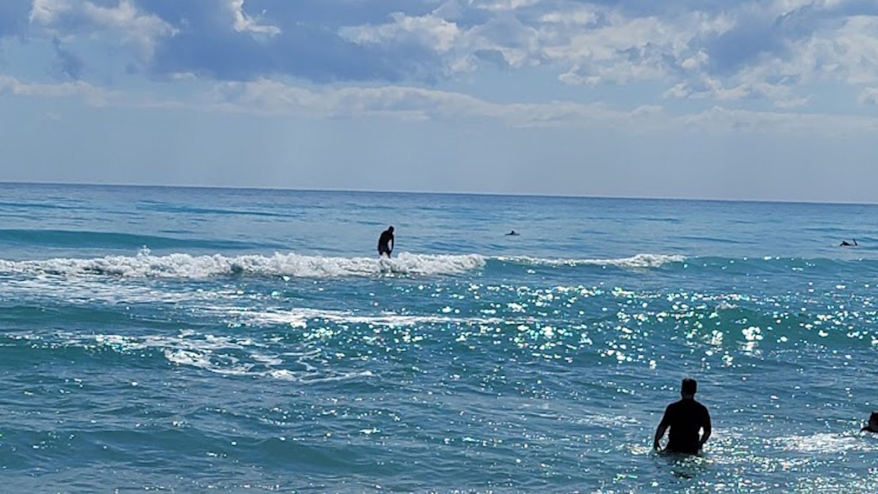 Photo of Outdoor in Palm City