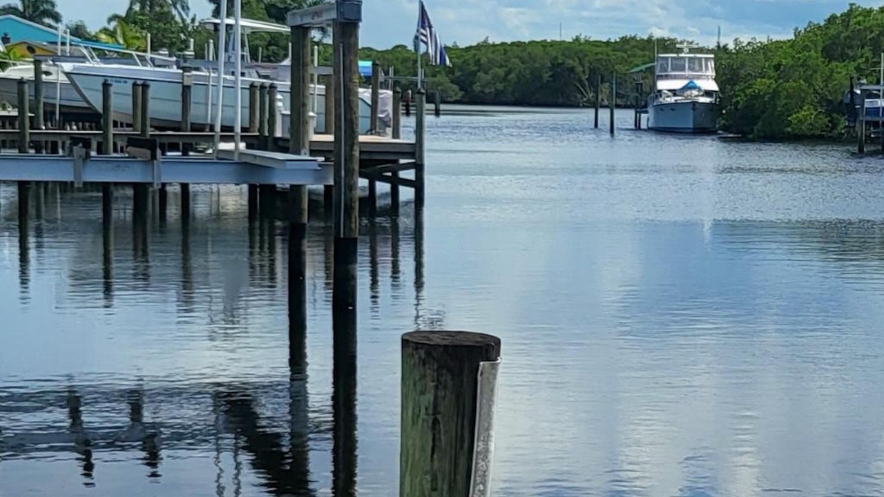 Photo of Others in Palm City