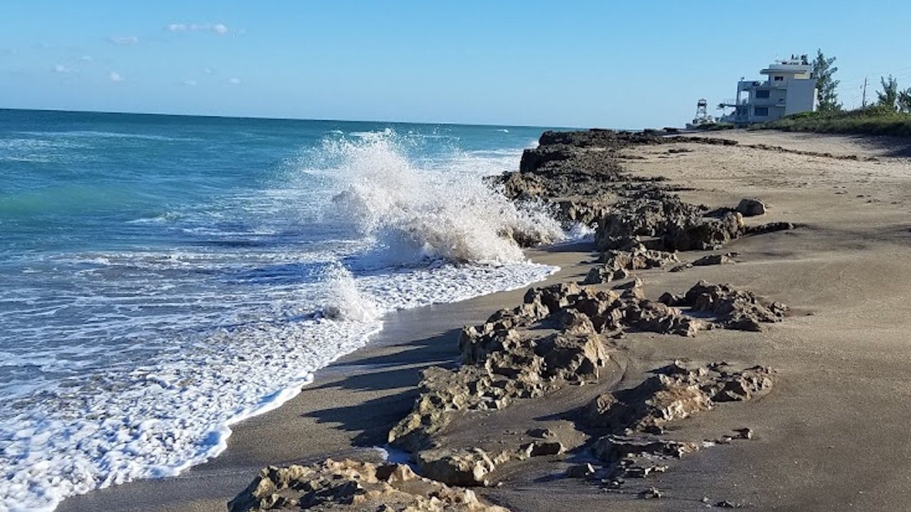 Photo of Others in Palm City