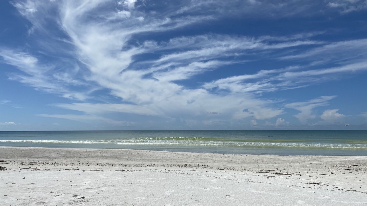 Photo of Others in Redington Beach