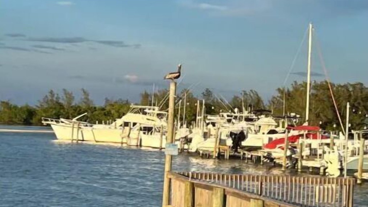 Photo of Others in Sebastian Highlands