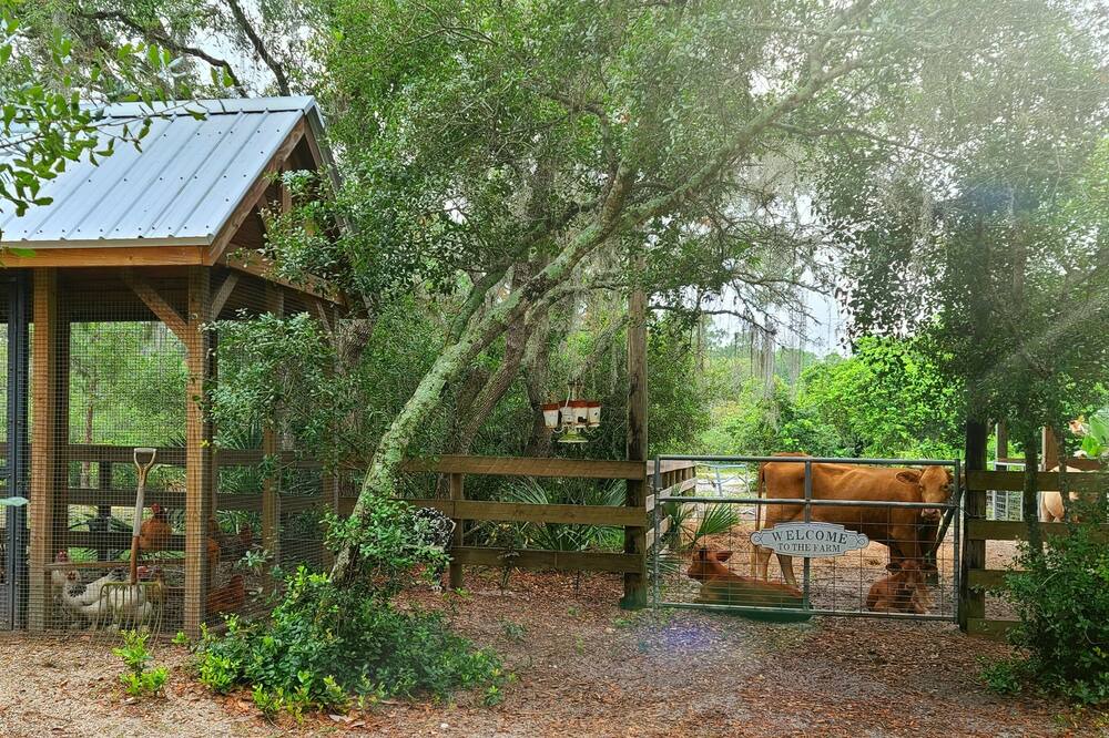 Photo of Outdoor in Highland