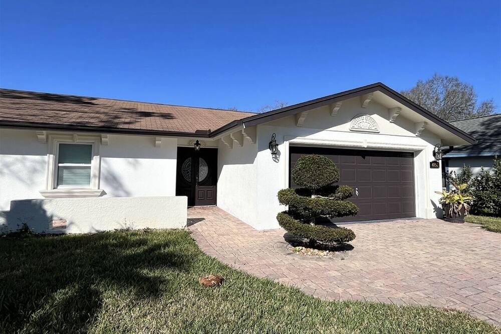 Photo of Outdoor in Carrollwood