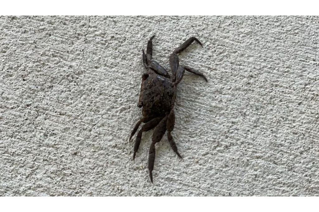 Photo of Others in Collier County