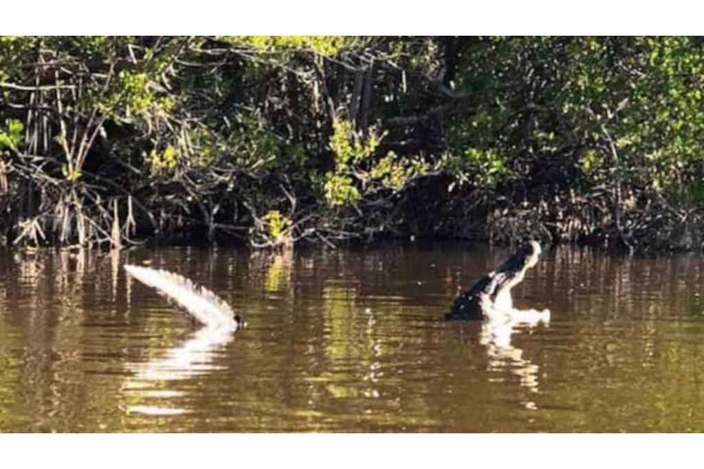 Photo of Others in Collier County