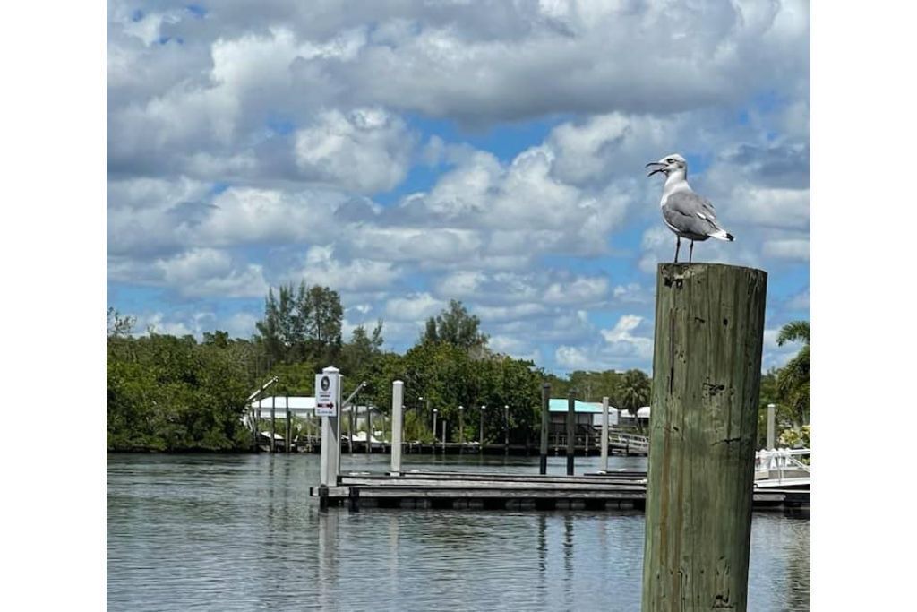 Photo of Outdoor in Collier County