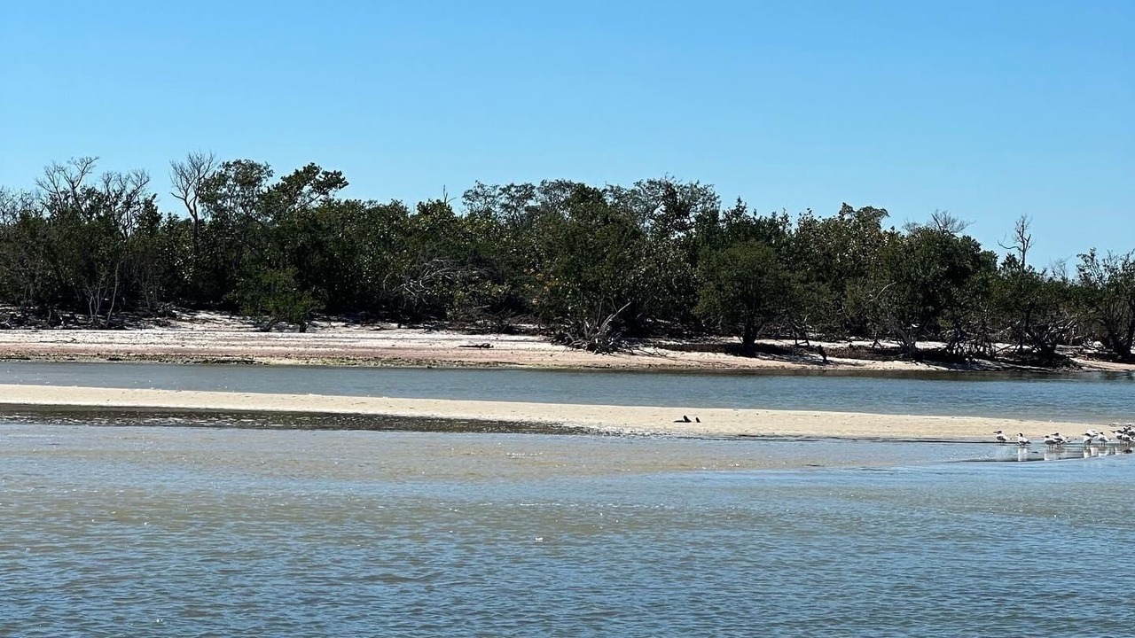 Photo of Others in Collier County