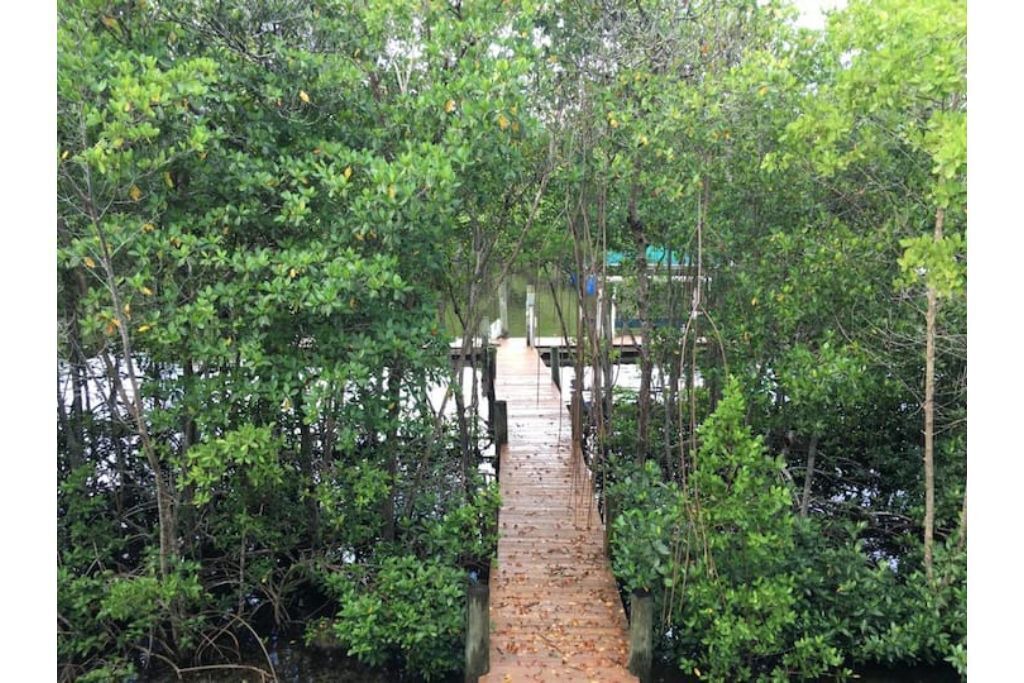 Photo of Outdoor in Collier County