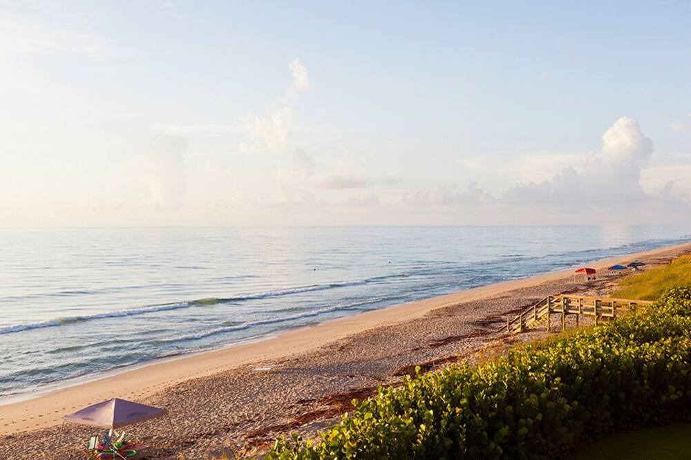 Photo of Others in Hutchinson Island South