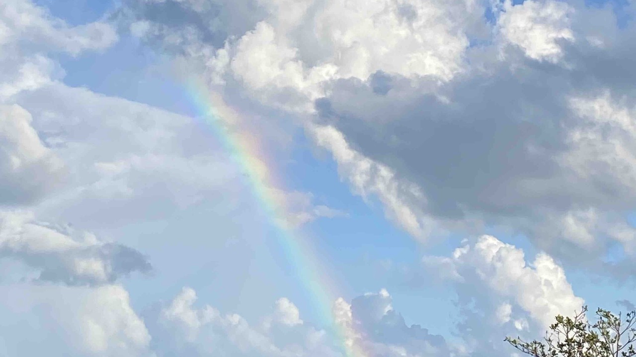 Photo of Outdoor in Cudjoe Key
