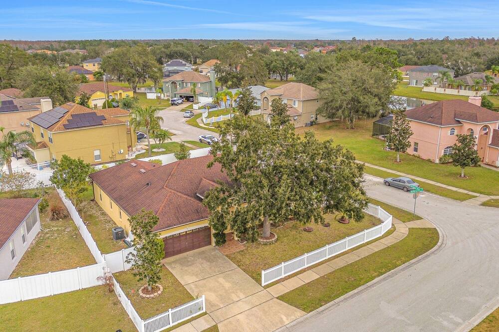 Photo of Others in Poinciana