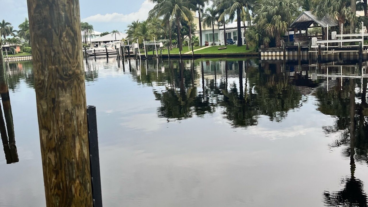 Photo of Outdoor in Palm City
