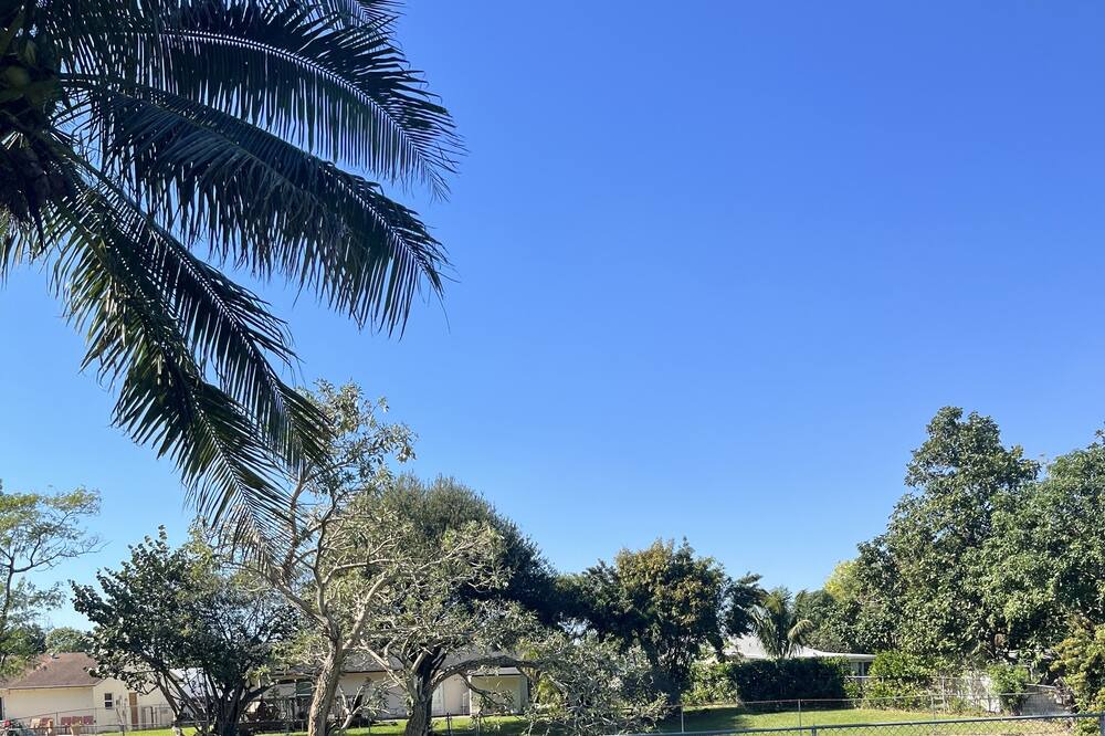 Photo of Outdoor in North Lauderdale